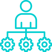 Organization-Structure-Service