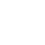 Organization-Structure-Service
