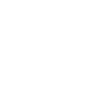 Regular-Updates-and-Revisions